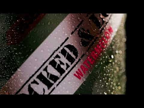 S.A.L.U.T.E. Amino Acids